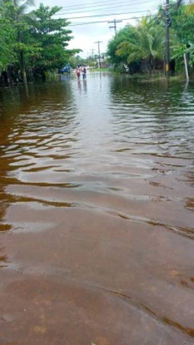 El efecto de sus lluvias se refleja en la colonia La Esperanza de Puerto Cortés, la cual sus calles permanecen inundadas.