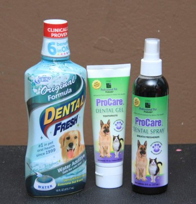 Lleva tu perro al salón