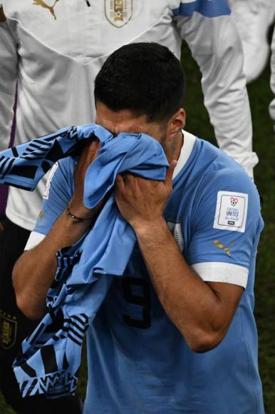 Luis Suárez lució destrozado luego que Uruguay se quedó eliminado en fase de grupos del Mundial de Qatar 2022.