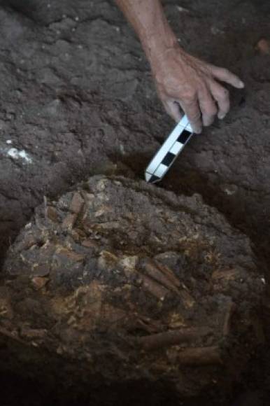 Un hombre trabaja en el sitio arqueológico donde se encontraron seis esqueletos humanos en el Parque Arqueológico de Copán. AFP