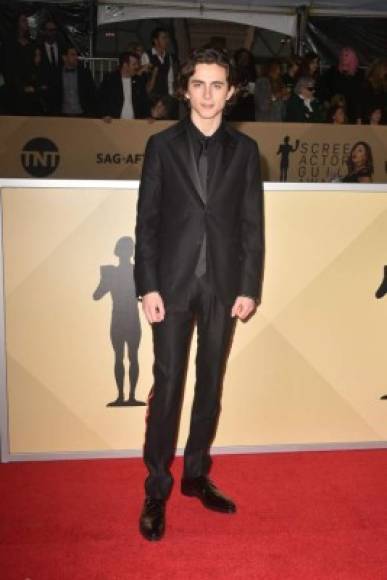 Mandatory Credit: Photo by Rob Latour/REX/Shutterstock (10072501fh)<br/>Timothee Chalamet<br/>25th Annual Screen Actors Guild Awards, Arrivals, Los Angeles, USA - 27 Jan 2019