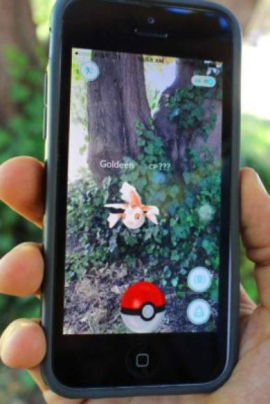 Según familiares, Cayla y su novio siempre llegaban al parque donde ocurrió el crimen a jugar pokémon go.