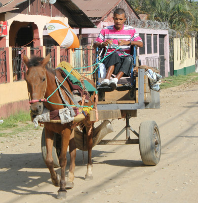 Maneja carreta de caballos desde una silla de ruedas