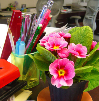 Maneras de hacer su trabajo más saludable