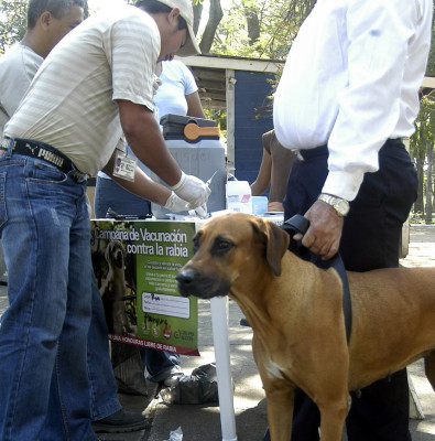 Siguen controlando la rabia canina