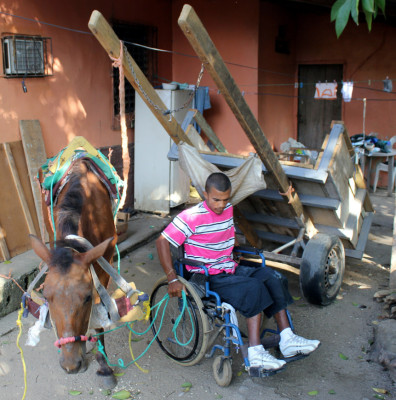 Maneja carreta de caballos desde una silla de ruedas