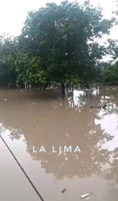 Crecidas por lluvias y agua de río desbordado en La Lima.
