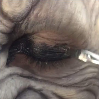 El increíble disfraz de Heidi Klum que la corona la reina de Halloween