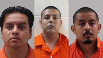 Los hermanos Eduardo, Joel y Fernando Luna, de origen mexicano, enfrentan cargos por el delito de crimen organizado y por el homicidio de un inmigrante hondureño.