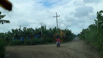 Ayer se empezaron a liberar algunos tramos en el departamento de Colón, pero no en los puntos estratégicos por donde entran productos y alimentos para abastecer.
