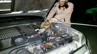 Un bombero cuando intentaba sacar el animal del motor del carro.