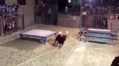 Los pobladores de Valencia celebraron el tradicional 'Toro embolado'.