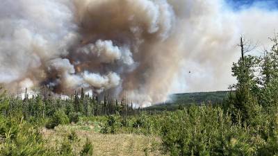 Francia y Estados Unidos han ofrecido ayuda a Canadá para combatir los incendios forestales.
