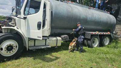 Un camión cisterna que era movilizado desde la zona norte hacia el occidente de Honduras fue interceptado durante una operación policial en El Progreso, Yoro, donde los agentes encontraron ocultos 56 fardos de clorhidrato de cocaína, aproximadamente más de 1000 kilos; además de armas, chalecos antibalas y municiones.