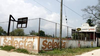 Siguen las investigaciones sobre las áreas verdes de la Fesitranh.