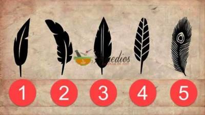 La psicología y la mente puede encerrar muchos misterios y características sobre nuestra personalidad. A veces elegir una simple imagen o símbolo revela más de lo que crees. En este test de psicología solo debes elegir una pluma, la que creas que realmente va contigo, y revelará algo sobre tu personalidad y pensar.