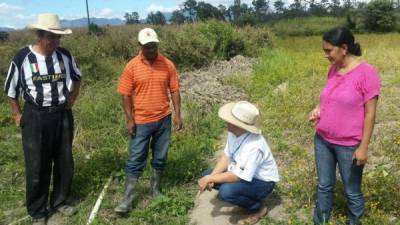 El evento tuvo como objetivo especificar las condiciones que se implementarán con los fondos del Fideicomiso de Administración e Inversión para el Programa Nacional para la Reactivación del Sector Agroalimentario de Honduras (Firsa).