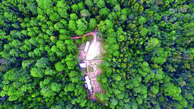 Durante dos años de la pandemia se pararon las investigaciones.