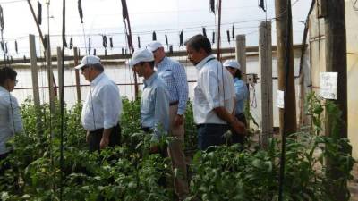 Autoridades de la SAG hacen una gira de campo en la Escuela Agrícola Panamericana El Zamorano.