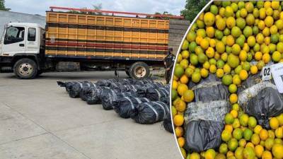 Parte de la supuesta marihuana decomisada.