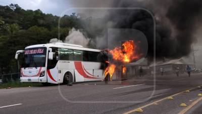 El bus interurbano venía de San Pedro Sula.