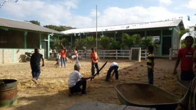 El fin de semana, estudiantes limpiaron centros educativos a fin de evitar los criaderos.