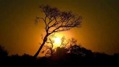 Semana con las temperaturas más altas del año.