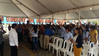 Los 500 jóvenes comenzaron a trabajar desde este martes.