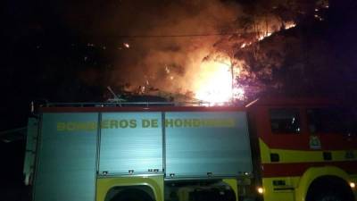 Militares y bomberos se sumaron a las labores para apagar el siniestro.