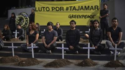 Organizaciones como Greenpeace se ha opuesto a la destrucción del manglar.