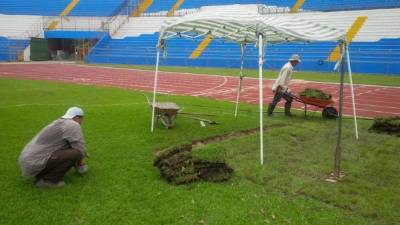 Cuadrillas sembrando la grama bermuda.