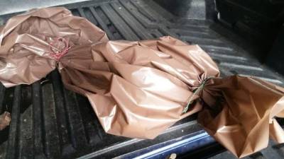 En esta pequeña bolsa fue envuelto el recién nacido.