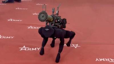 Rusia inauguró este lunes la mayor feria militar del país exhibiendo un perro robot con un lanzagranadas, prototipo del sistema robótico M-81, capaz de disparar a blancos y transportar armas, así como de participar en tareas de selección de objetivos, patrullaje y vigilancia, según medios locales.