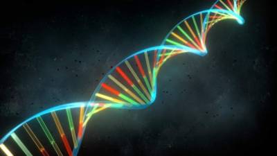 El ADN 'basura' puede establecer el cáncer y otras patologías.