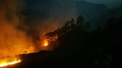 En su mayoría, los incendios forestales son provocados por personas.