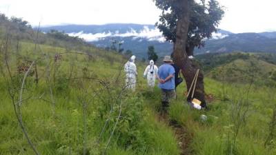 Las autoridades siguen escarbando en busca de más cuerpos. Foto: Ministerio Público.