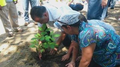 El alcalde Armando Calidonio siembra un árbol junto con una vecina del sector.