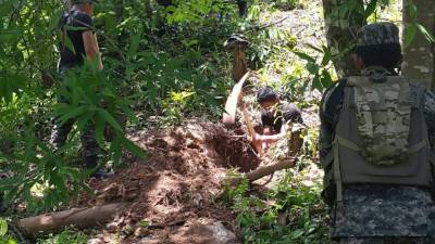 Las excavaciones se llevan a cabo en el Búfalo.