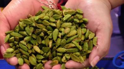 El cardamomo es comprado por Arabia Saudita, Emiratos Árabes Unidos, India, Estados Unidos y el Reino Unido. El producido por los agricultores hondureños es comprado por guatemaltecos.