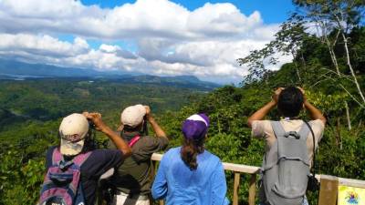 Los participantes fueron divididos en varios grupos, acompañados por un líder, el cual fue seleccionado en base a su experiencia en la identificación de aves.