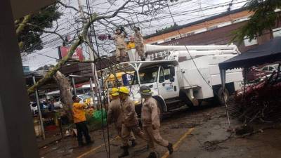 El mantenimiento a las líneas ha funcionado.