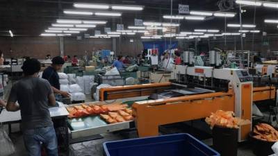 Trabajadores en una maquila que produce bolsas plásticas.