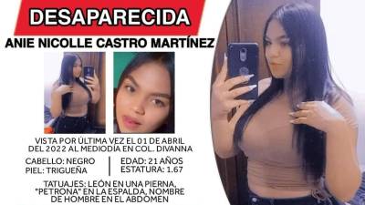 Anie Castro desapareció desde el viernes 01 de abril de 2022.
