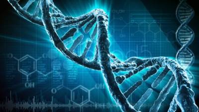 Los mecanismos de reparación del ADN que se dan en las células humanas.