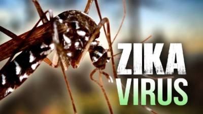 El virus del Zika causa el síndrome de Guillain-Barré.