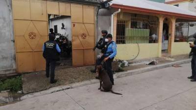 Las autoridades mientras realizaban el allanamiento en dos viviendas ubicadas en La Entrada Copán.