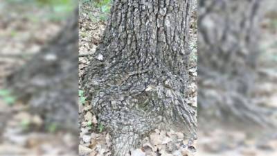 La foto se viralizó en las redes sociales. Fuente, Facebook: Leanne