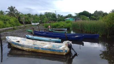 El ecosistema marino ha sido de los más afectados por el calentamiento global. Las dunas en Santa Rosa de Aguán son una muestra del impacto negativo de este fenómeno. Fotos: Samuel Zelaya