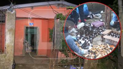 La agentes de la DPI recaban información en la vivienda allanada.