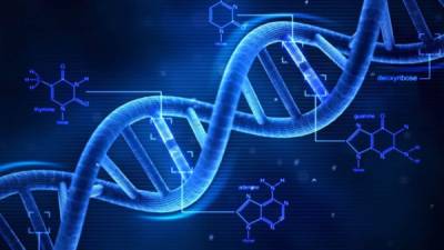 El ADN se relaciona con el placer de hacer o no ejercicio.